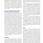 Sách Medical_Microbiology