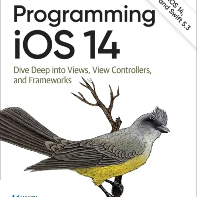 Sách Programming iOS 14 Dive Deep into Views, View Controllers, and Frameworks