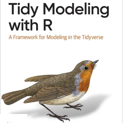 Sách Tidy Modeling with R