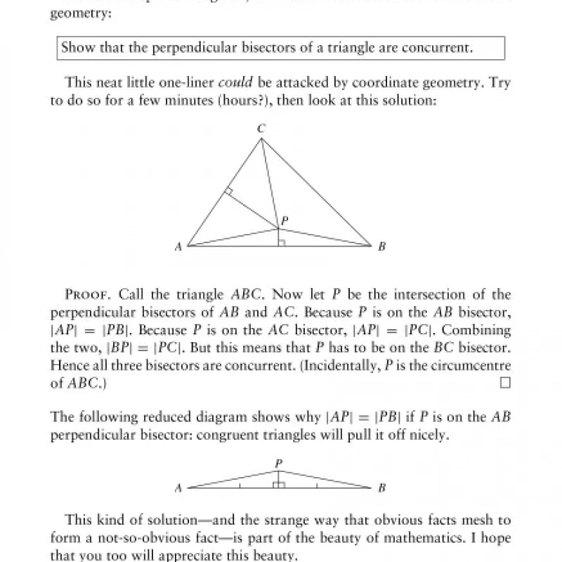 Solving Mathematical Problems