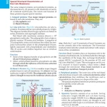 Textbook of Medical Biochemistry