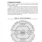 The Emotionally Intelligent Manager: How to Develop and Use the Four Key Emotional Skills of Leadership