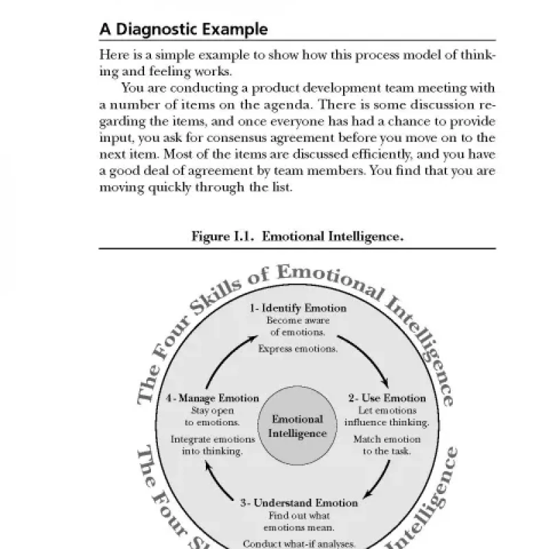 The Emotionally Intelligent Manager: How to Develop and Use the Four Key Emotional Skills of Leadership