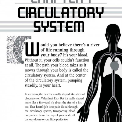 The Human Body (Sách đen trắng)
