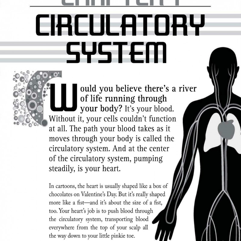 The Human Body (Sách đen trắng)